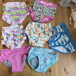6pc kid’s diaper cloth reusable diaper training pant underwear sixe 2T-3T  Comes from pet free smoke free home  Excellent condition.   My daughter use