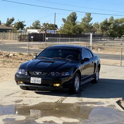 1999 Ford Mustang