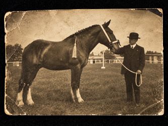 Authentic 1915 Photo: 1st Female Kentucky Derby Winner Regret & Trainer
