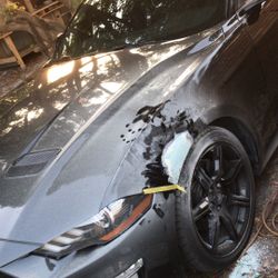 Mustang Fender Fix 