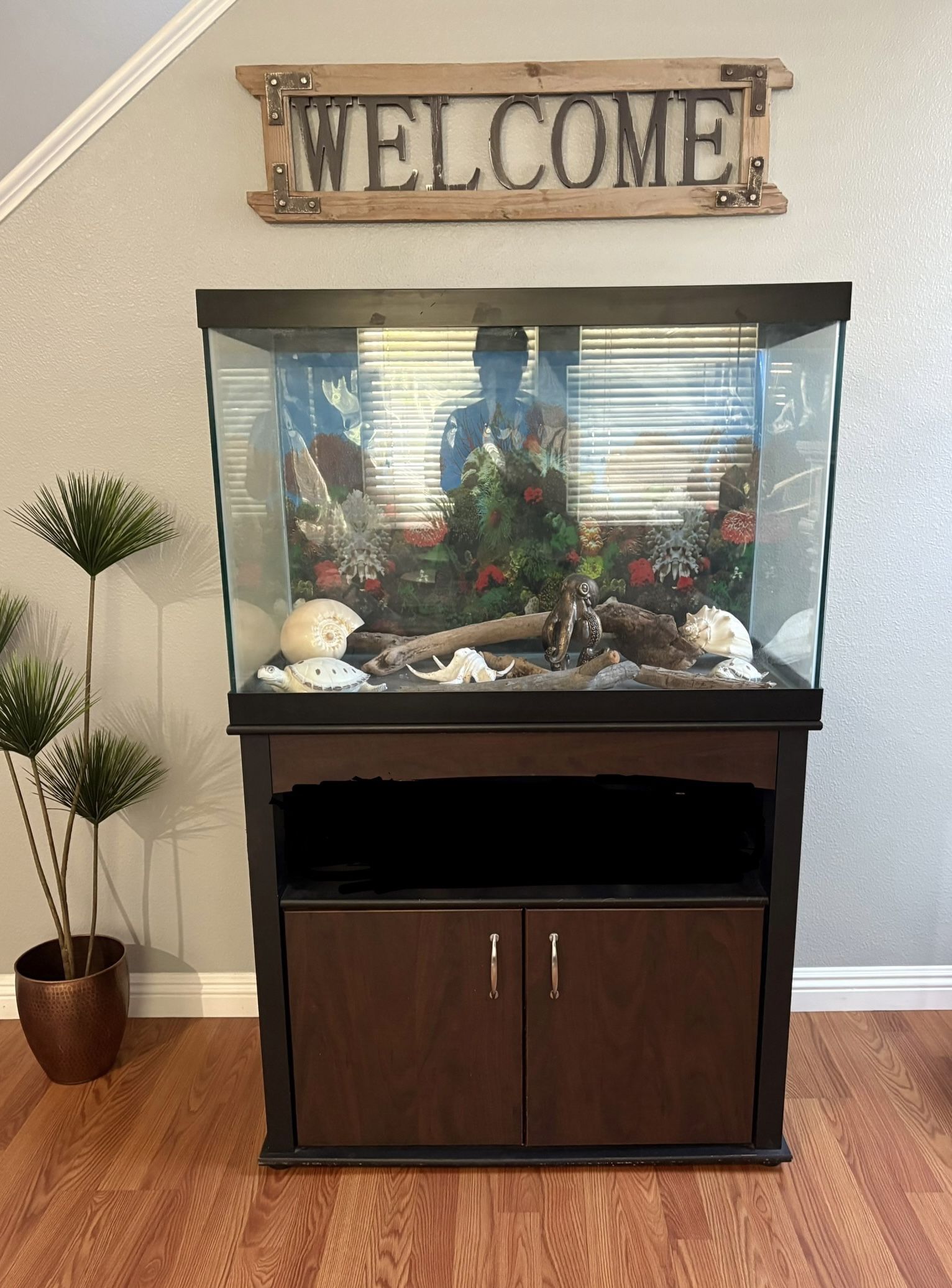 Fish Tank With Stand And Pump Accessories 