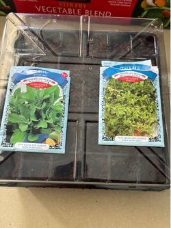 Starter plants