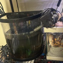 2.5 Gallon Fish Tank With Filter
