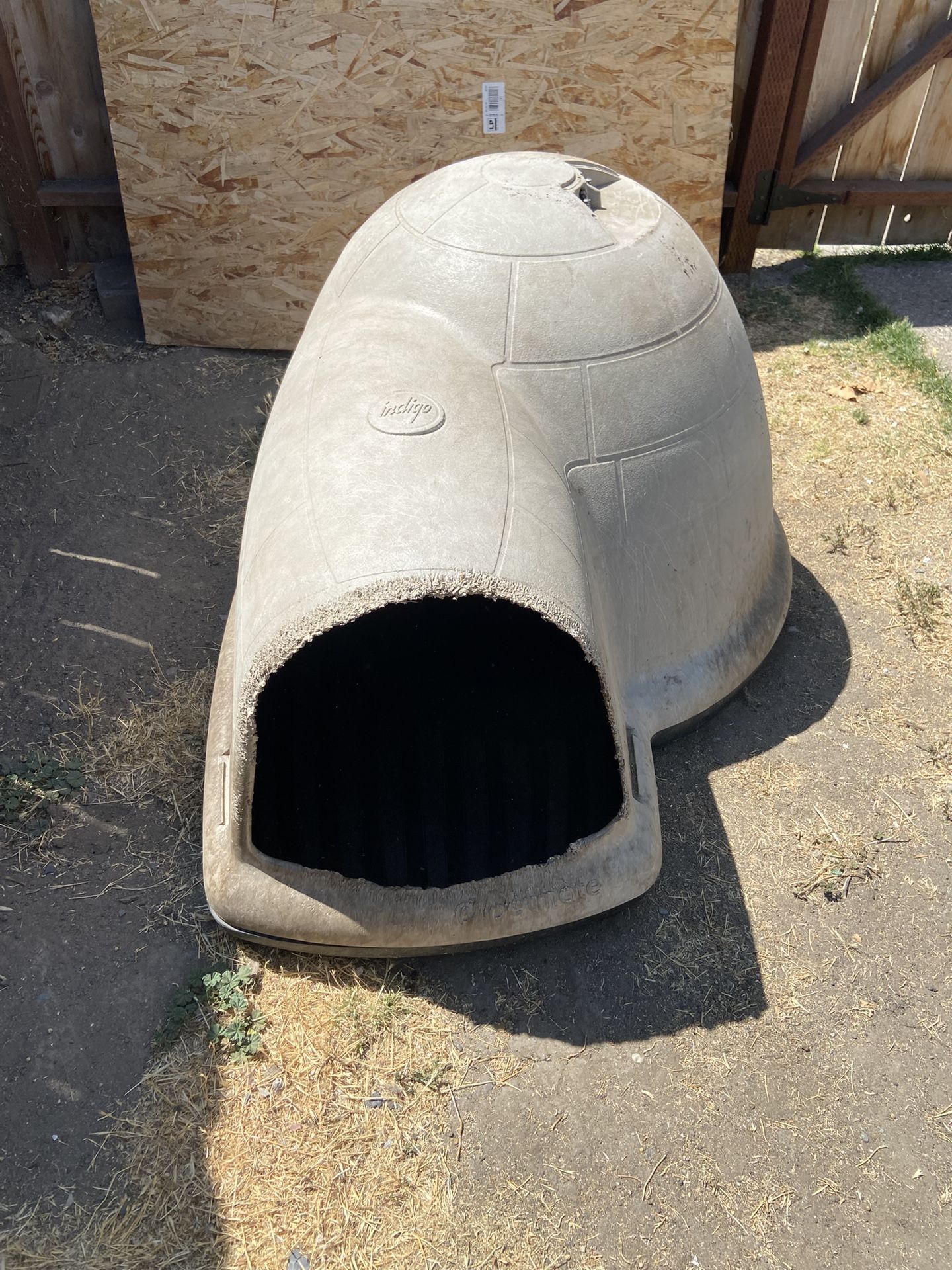 Dog House