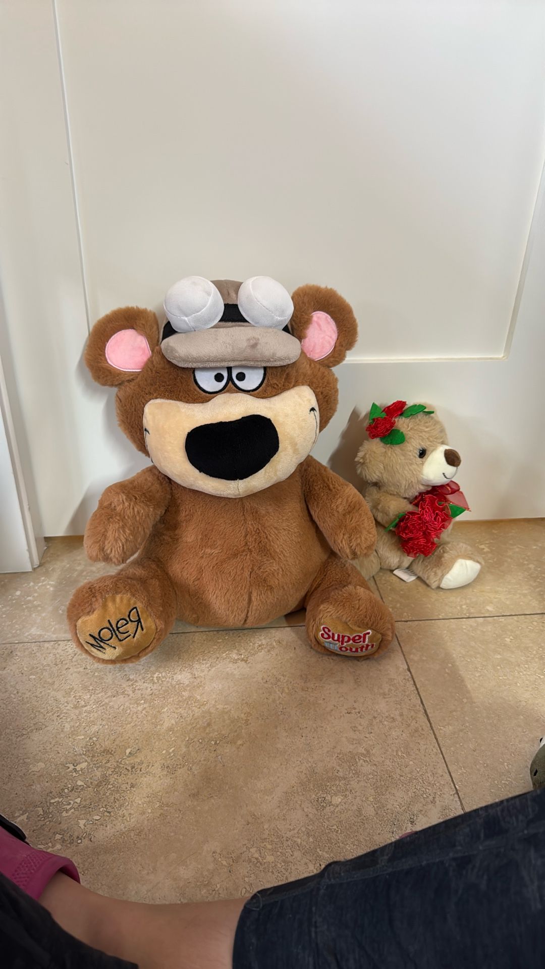 BEAR LOT: Super dentist Moler, and Valentines Teddy Plush