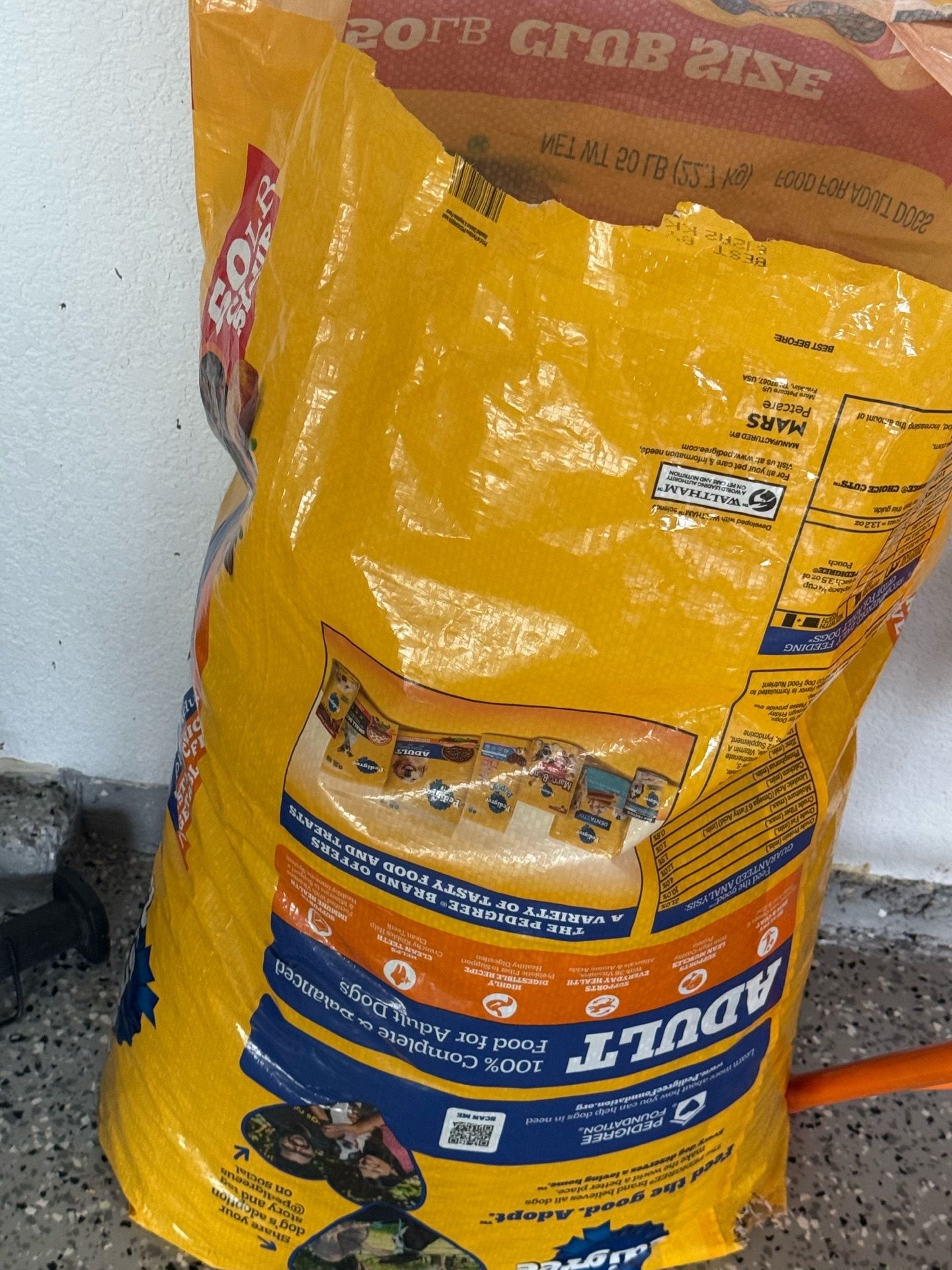 Dog food freee