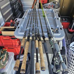 Multiple Champion Rods Message For Details