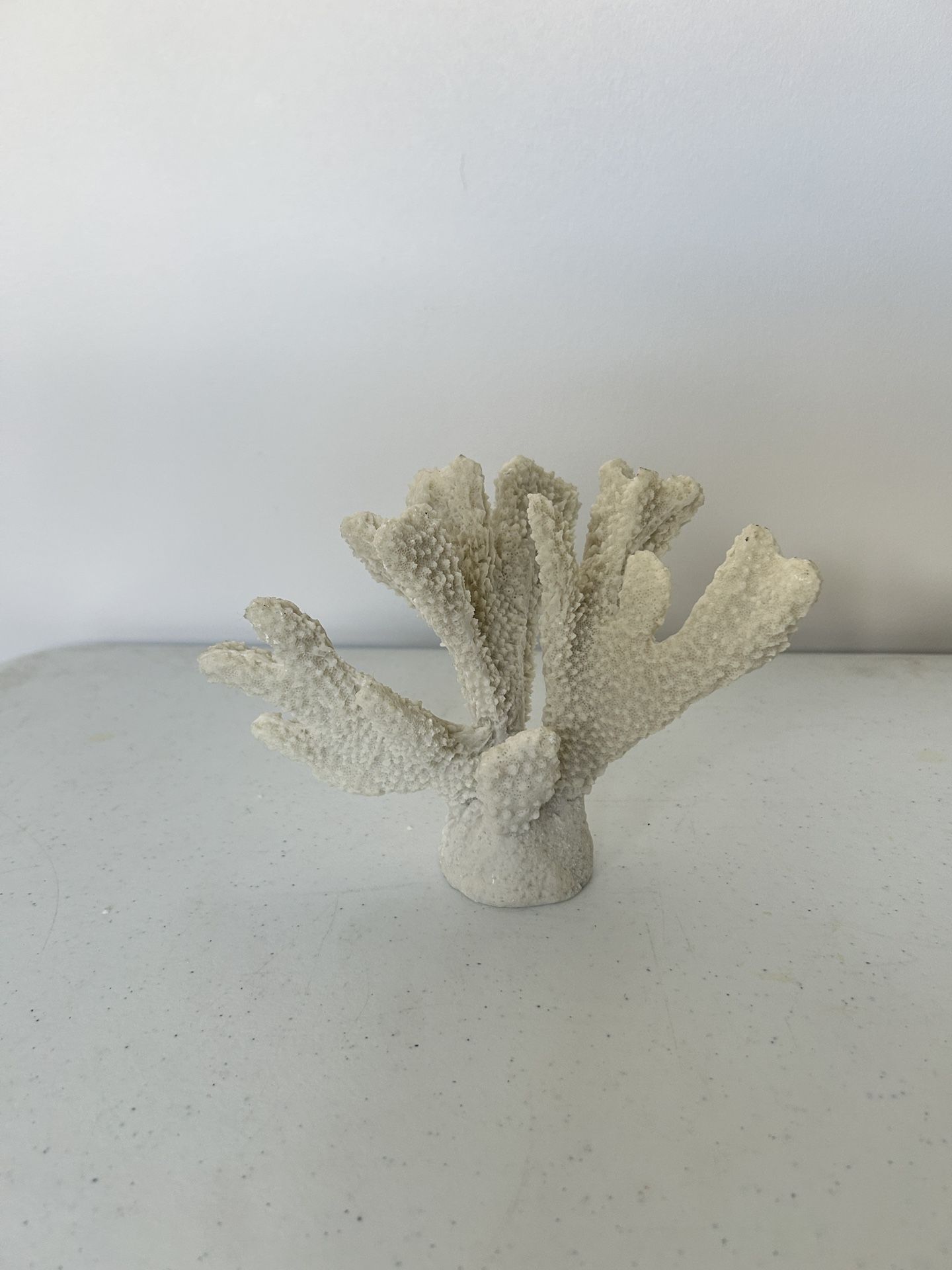 White Coral Decor