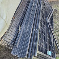 American kenel club dog kenel