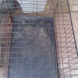 2ft.x3ft. Animal Cage