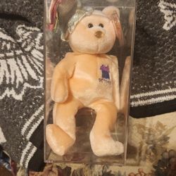 Beanie Baby In Cases