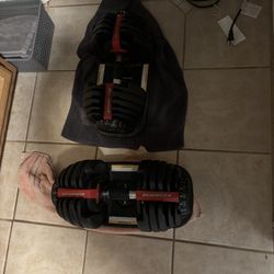 Bowlex Dumbbells 