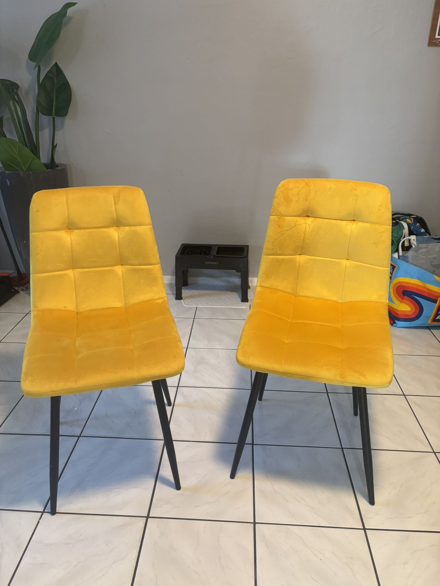 Set Of 2 Chairs