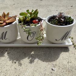 Ceramic Mom Succulent 