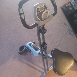 Stamina Exercise Bike