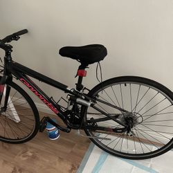 New Women’s Candale 