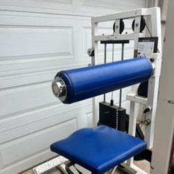 professional gym equipment  250 pound of weights 