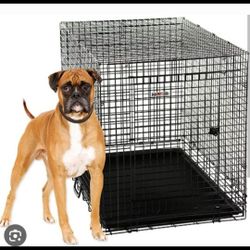 XL 48" Foldable Dog Crate 