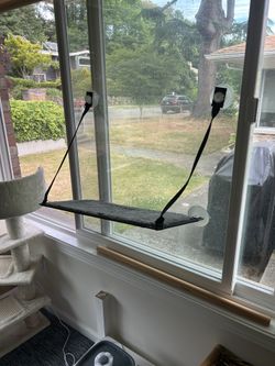 Free bundle of cat stuff for a cat lover