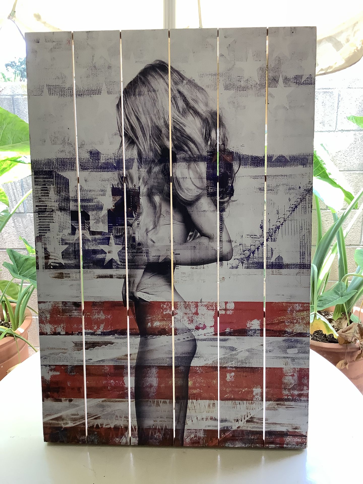 American Flag Portrait 