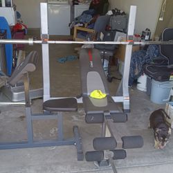 Weight Bench 