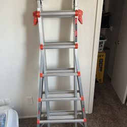 Little Giant Velocity 22 Ft ladder