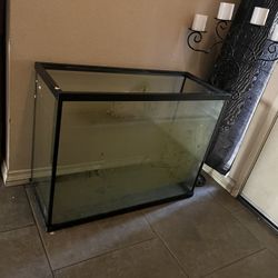 Fish Tank 