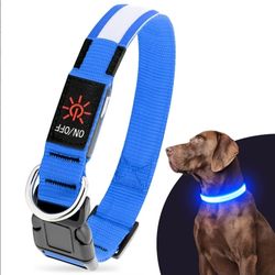 Collar Led Para Perro