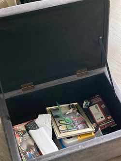 Gray Storage Box/Footrest