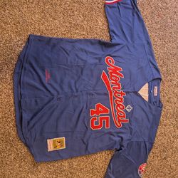 Pedro Martinez Montreal MLB jersey