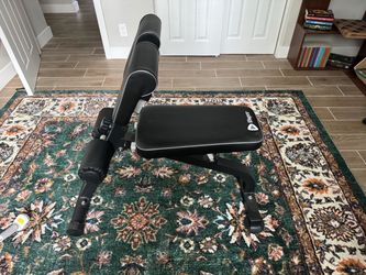 Life Pro Workout Bench