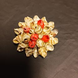 Sea Of Galilee Handmade Seashell Broach 