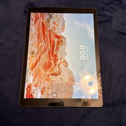 iPad Pro  ( 12.9  inch  )