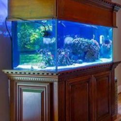 Custom Fish Tank Stand