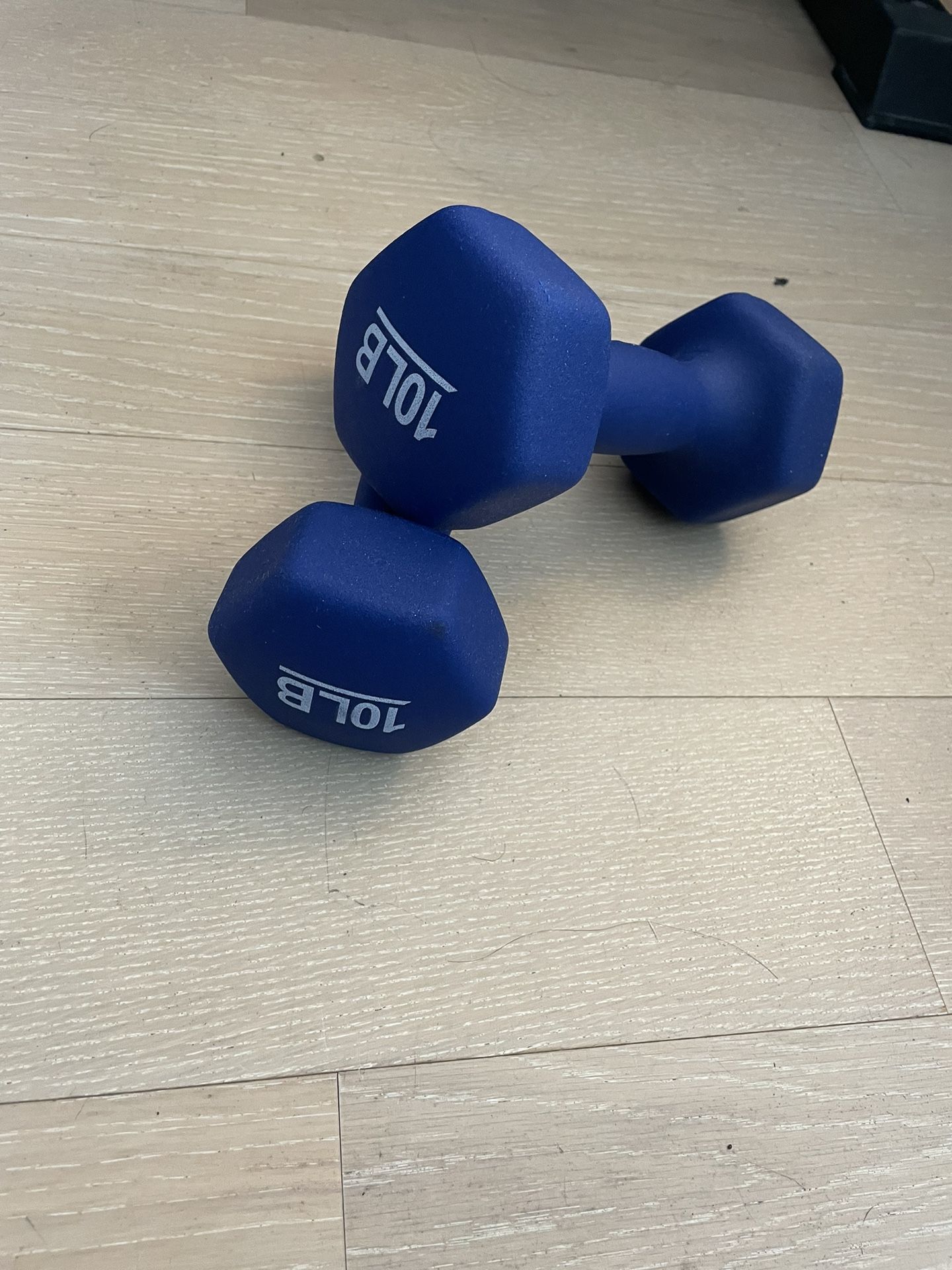 10 lb Dumbbells (Set of 2)