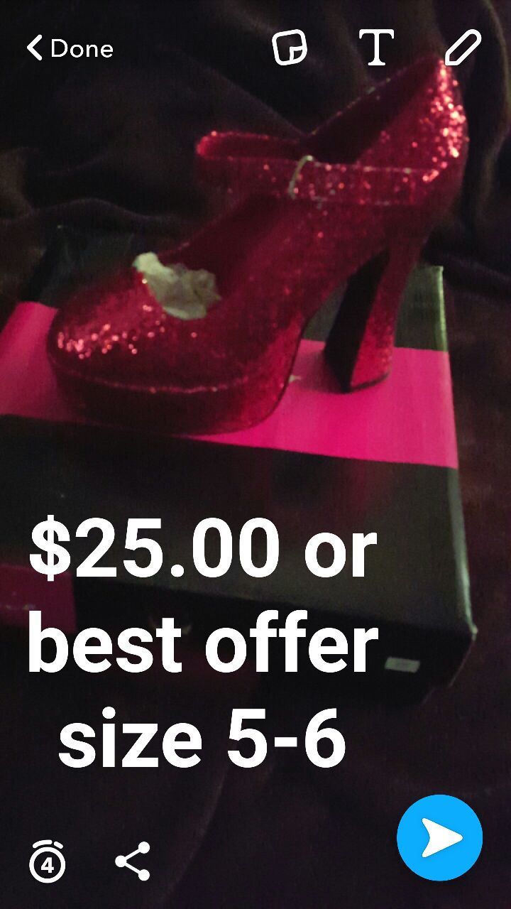 Halloween costume shoes used for Dorothy costume