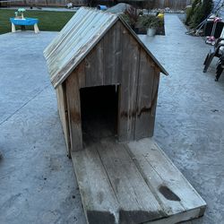 Dog House 