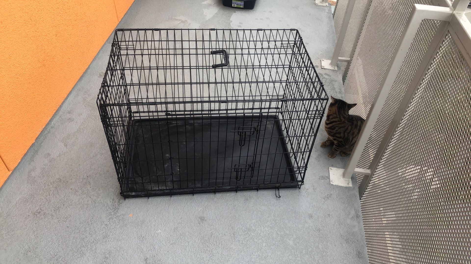 Double Door Metal Wire Dog Crate with Divider, Multiple, Black (Medium ) 