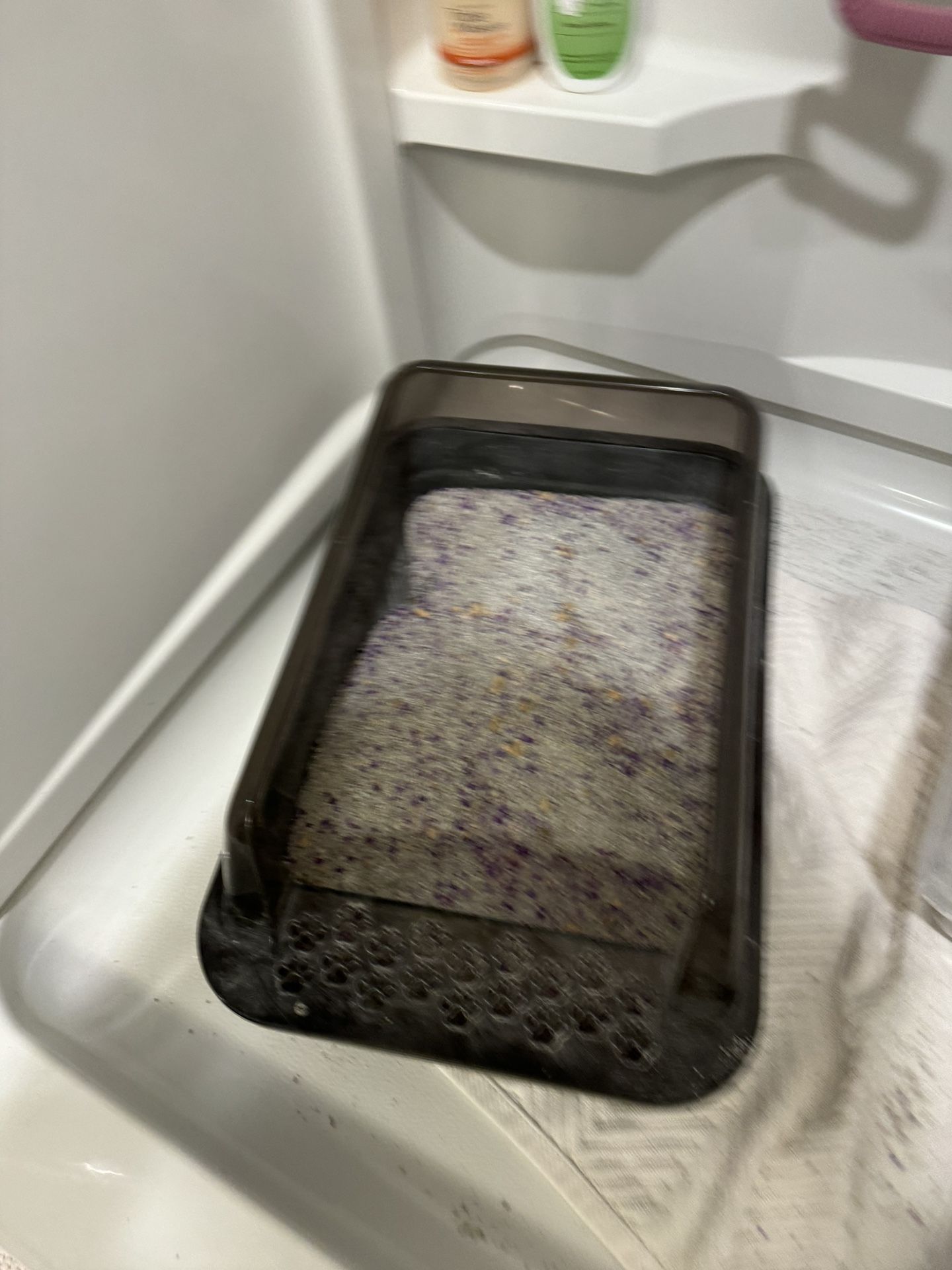 RESCUED LARGE PICKY CAT