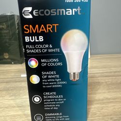 Light Bulb LED