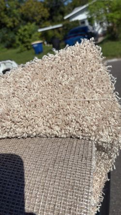 Light Beige Carpet Roll