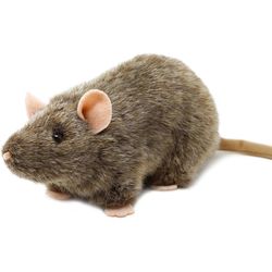 Fancy Rat Toys