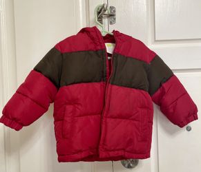 Toddler Jacket ( Boy)