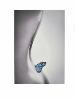 Farfalla Acrylic Wall Art  32" W x 1" D x 47" H