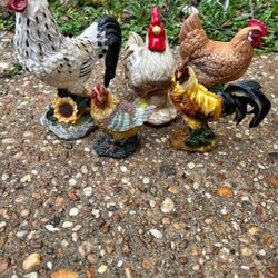 Roosters Roosters Roosters 