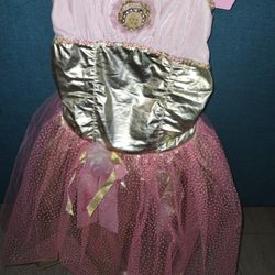 Girls Barbie Costume (new)
