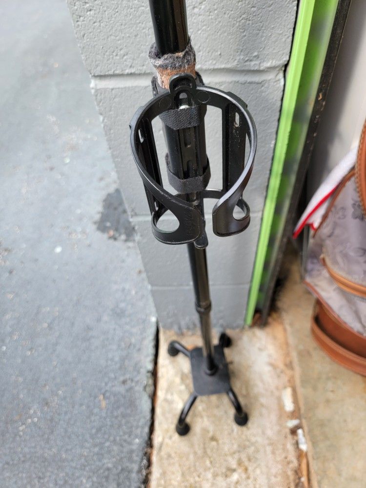 Walking Cane