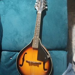 Rogue Mandolin