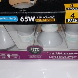 Indoor Outdoor Light Bulbs