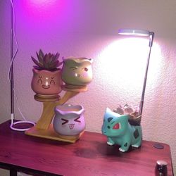 Flower Pots/grow Lights 